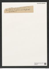 Hyalodiscus ? spectabilis Grun. (de-Toni-Nr.: Genus 219) Zeichnungen Sammlung Grunow (NHMW-BOT-W0379318)